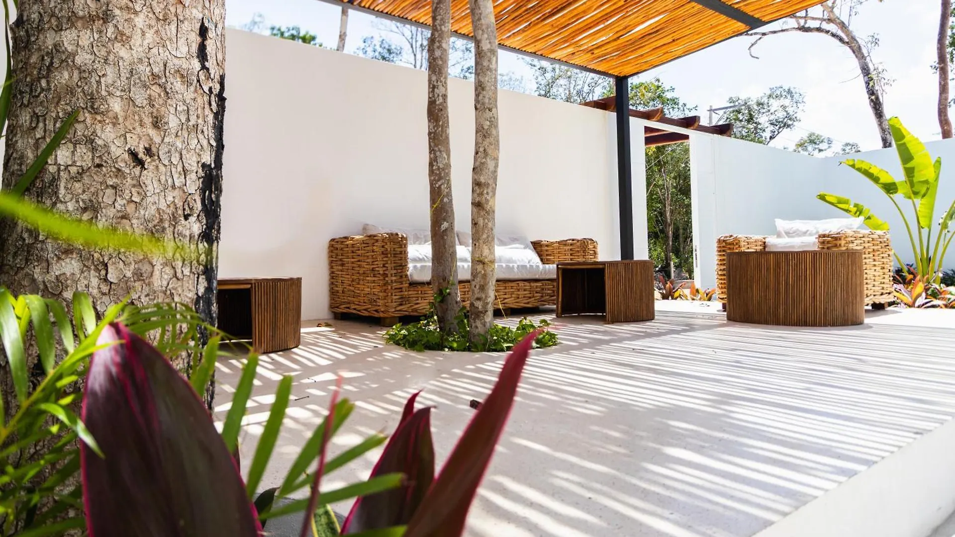 Nature And Beach Tulum Mexique